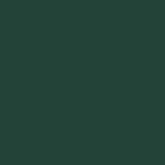 Painted Conifer