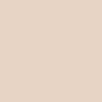 Painted Kashmir