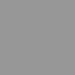 Phoenix Gloss Dust Grey
